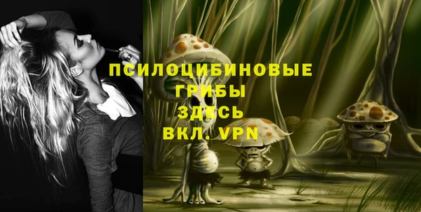 прущая мука Саяногорск
