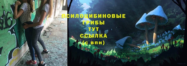 дмт Сафоново