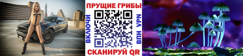 как найти закладки  Снежинск  Галлюциногенные грибы Psilocybe 