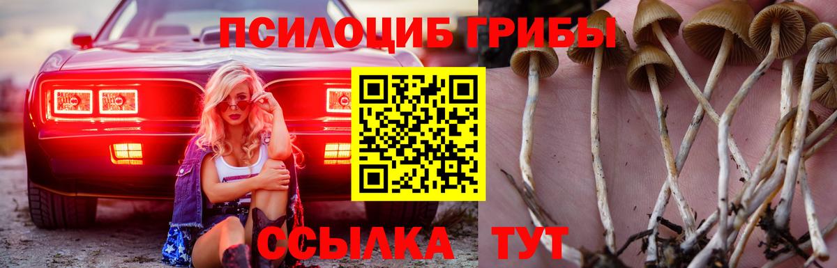 Псилоцибиновые грибы Cubensis  продажа наркотиков  Вход с VPN  Снежинск  Галлюциногенные грибы MAGIC MUSHROOMS 
